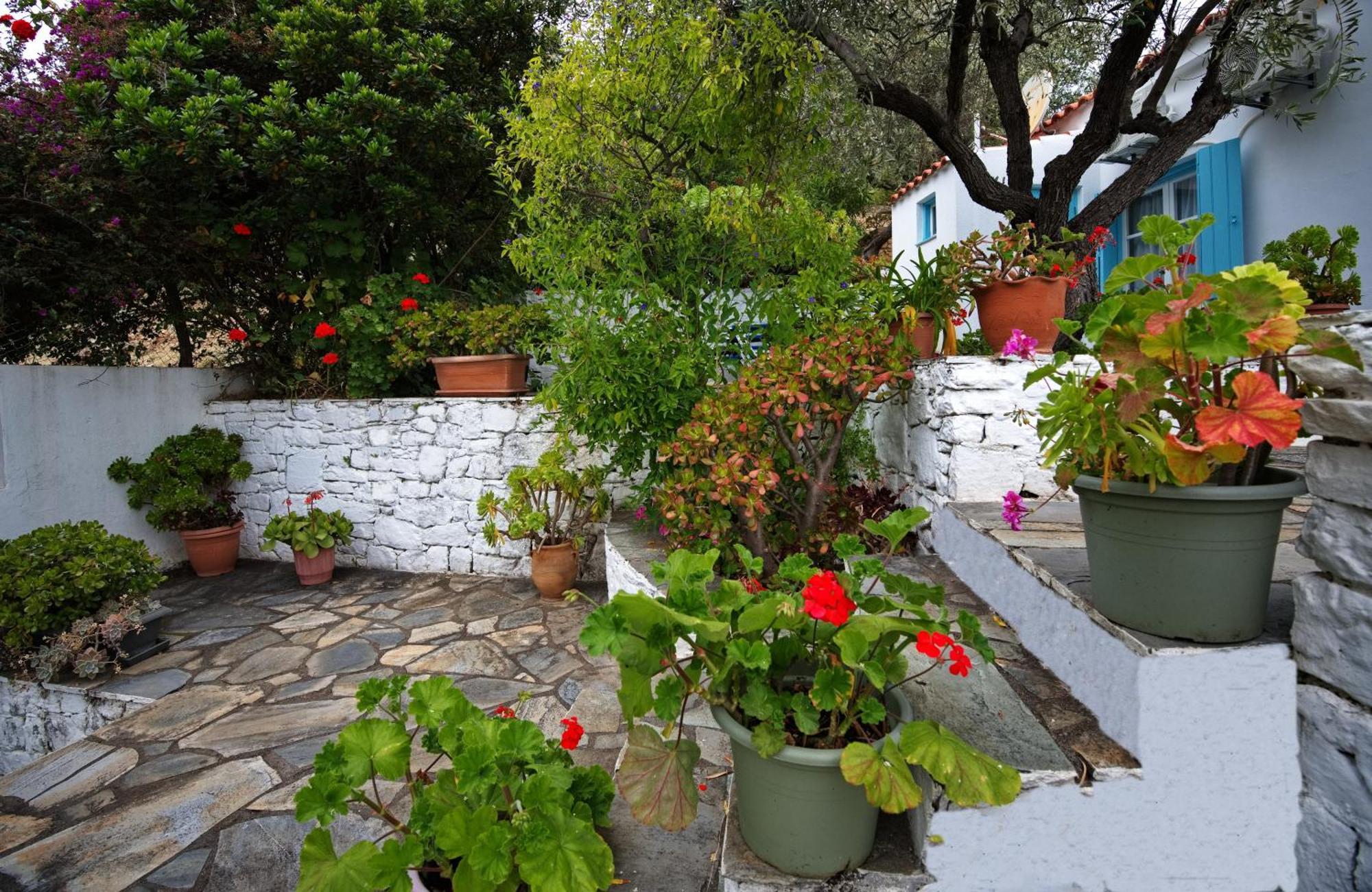 Limani Cottage Steni Vala Alonissos Exterior photo